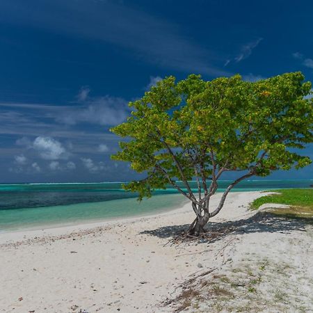 Chao Guest House Maafushi Eksteriør bilde