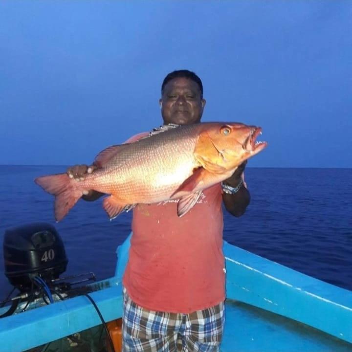 Chao Guest House Maafushi Eksteriør bilde